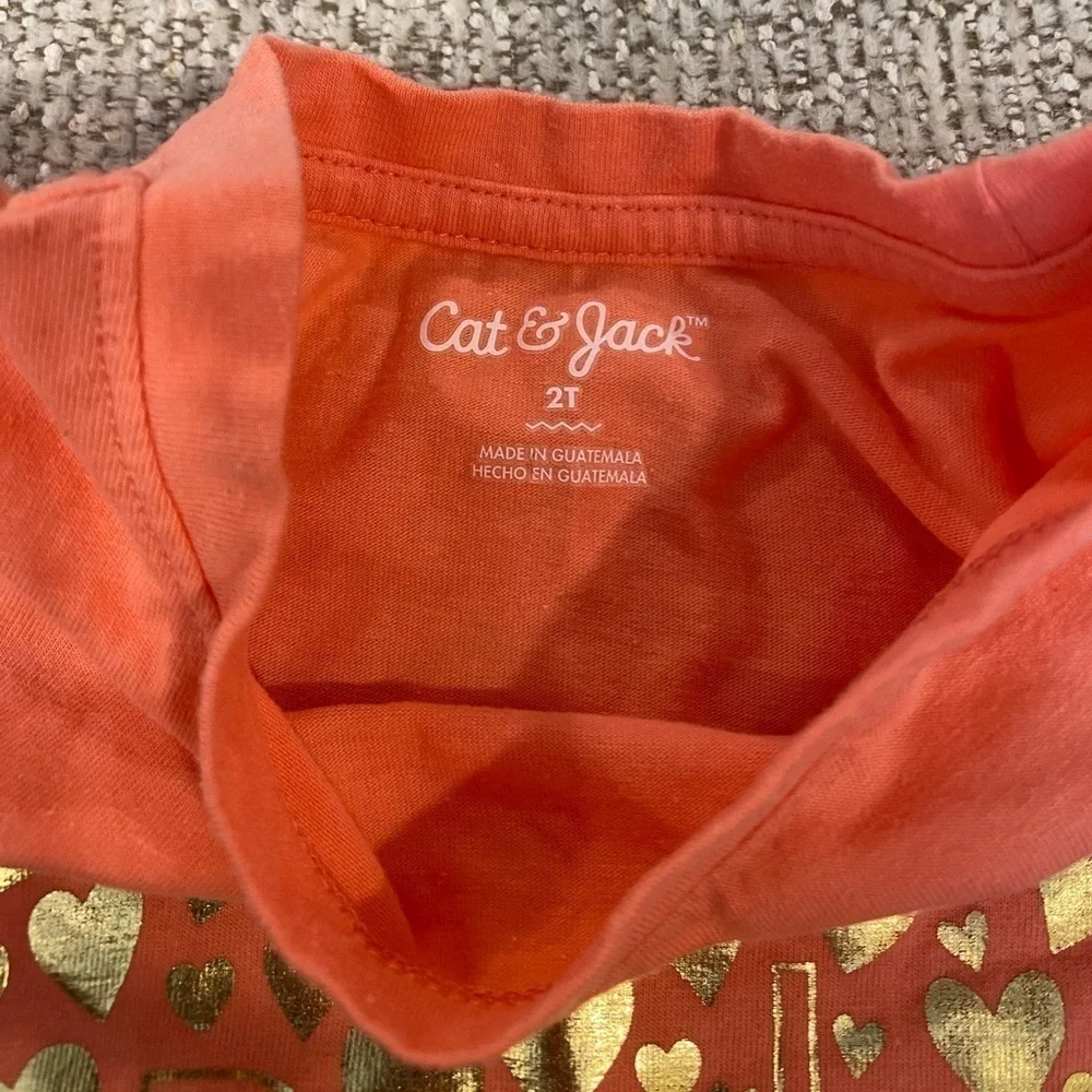 3/$15 SALE 2T Girls Old Navy Dad Heart Shirt & Gymboree Pink Bear Leggings - Picture 3 of 4